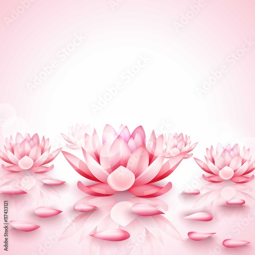 Pink lotus flowers background