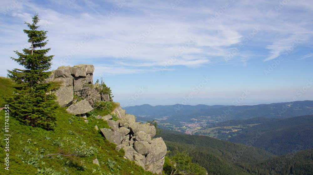 Paysage des Vosges
