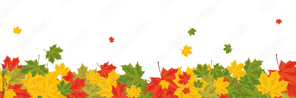 Fototapeta premium print with autumn leaves