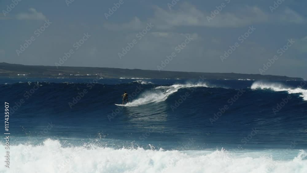 Surfer Surfer
