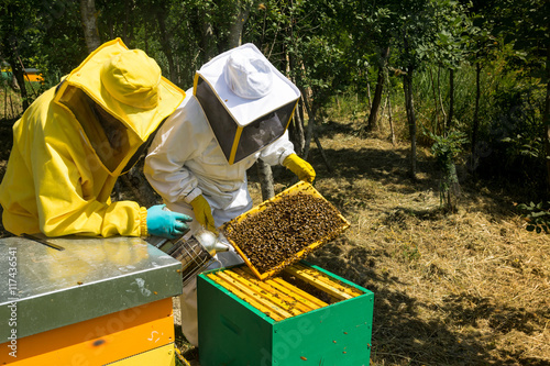 Beekeeping