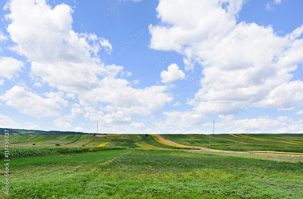 Photo of green wheat, corn and sunflower fields with blue sky, Romania.