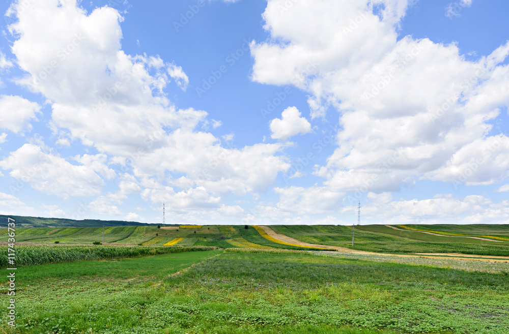 Photo of green wheat, corn and sunflower fields with blue sky, Romania. Photo of green wheat, corn and sunflower fields with blue sky, Romania.