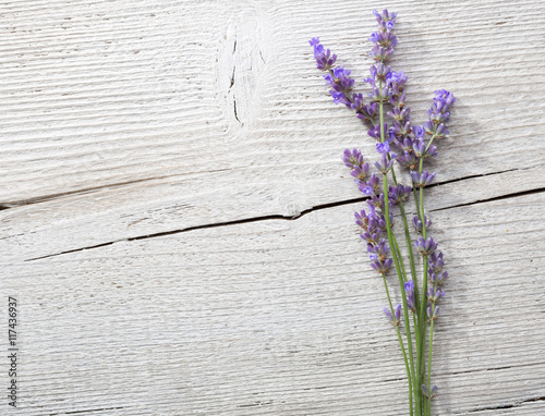 Fototapeta Naklejka Na Ścianę i Meble -  Few sprigs of lavender on an old wooden background