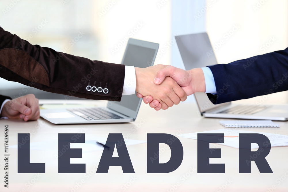 Obraz premium Business training concept. Two businessmen shaking hands in the office