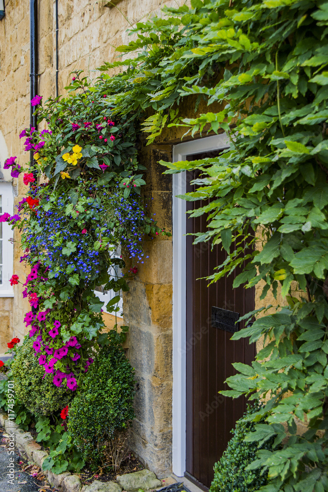 Fototapeta premium cottage