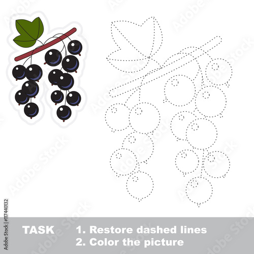 Blackcurrant to be traced. Vector trace game.