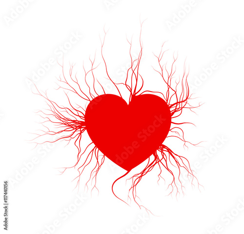 human veins with heart, red love blood vessels valentine design. Vector illustration isolated on white background