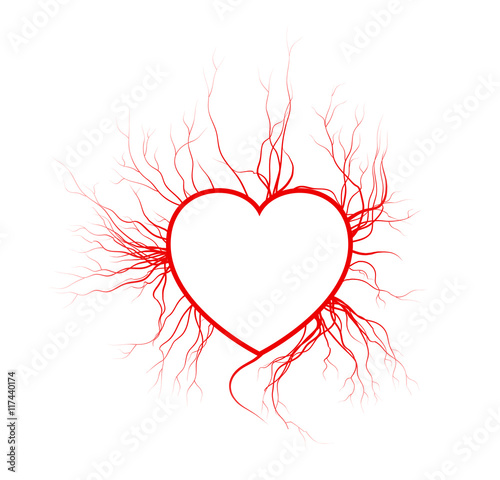 human veins with heart, red love blood vessels valentine design. Vector illustration isolated on white background