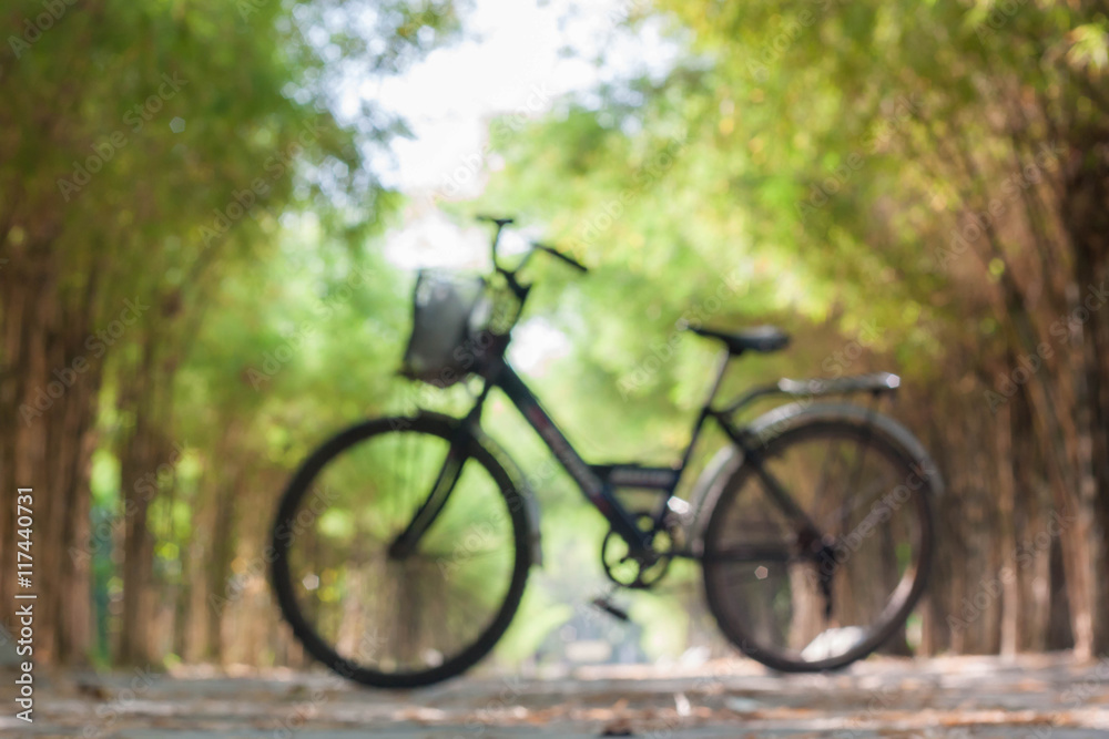 Bicycle in bamboo background, blur background.
