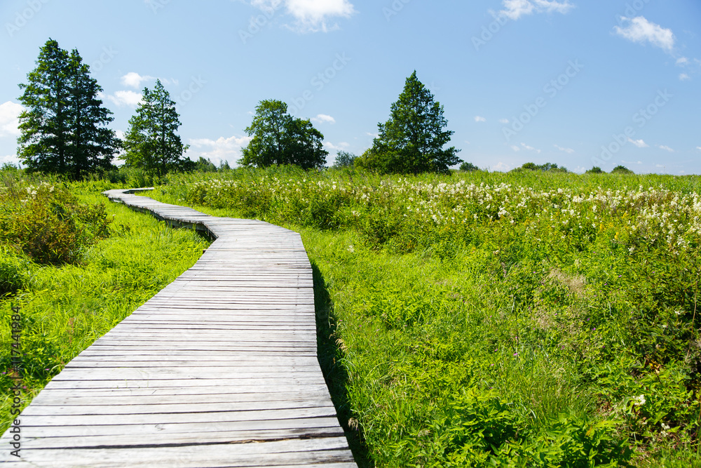 Pathway and green field in sunny day at summer. Pathway and green field in sunny day at summer.