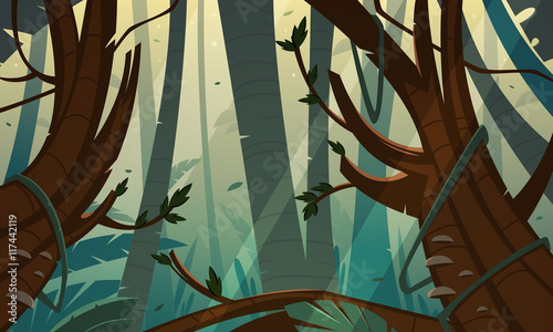 Tropical Rainforest Jungle