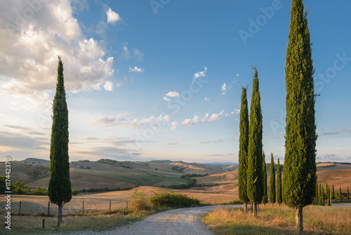 Beautiful picturesque view of the road and cypress trees. photo