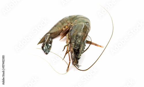 Raw fresh shrimp © ksena32