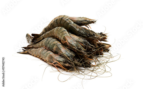 Raw fresh shrimp