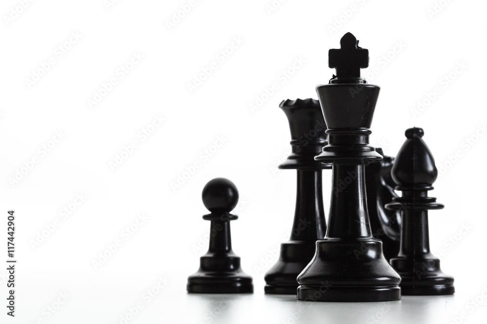 Chess figure isolated on the white background Chess figure isolated on the white background