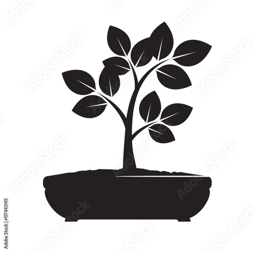 Green Vector Olive Tree. Illustration of Bonsai.