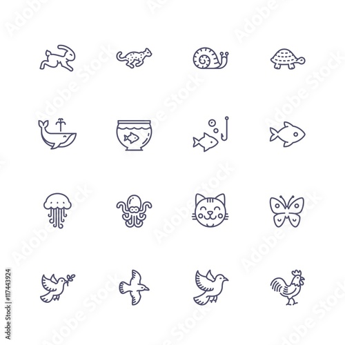 Animals icons
