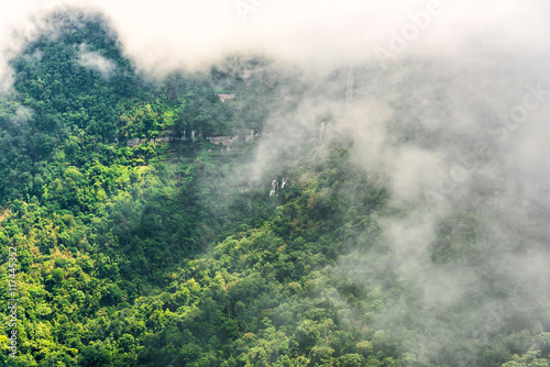 Low clouds over the forest mountain. © chanwitohm
