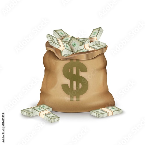 Money bag