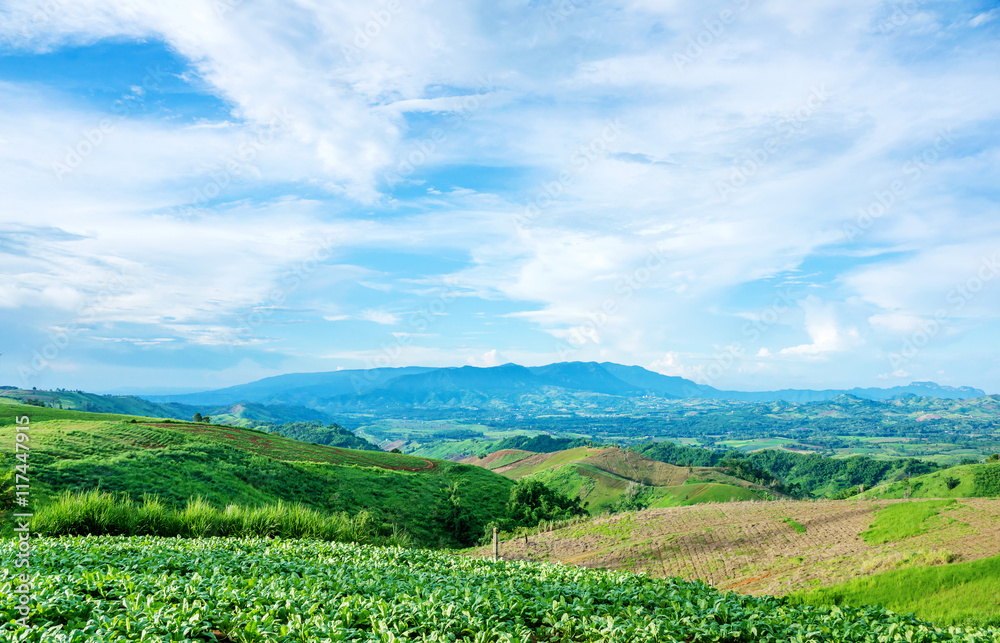 Khao Kho mountain ranges in the green season.