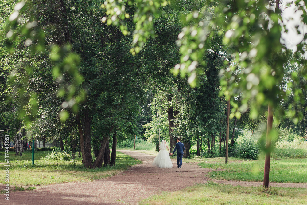 Obraz premium Back view of holding hands couple in love, bride and groom outdoor walking on field.