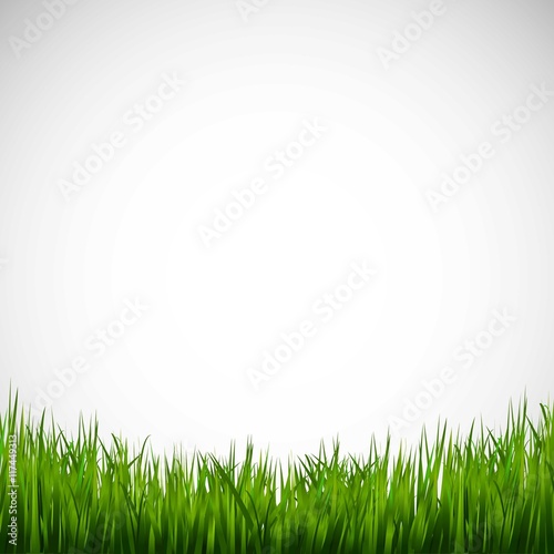 Green grass