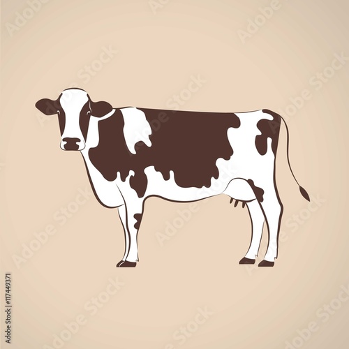 Cow illustration