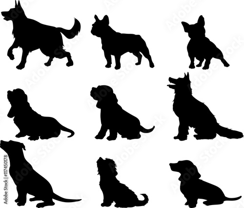 Dogs vector silhouette photo