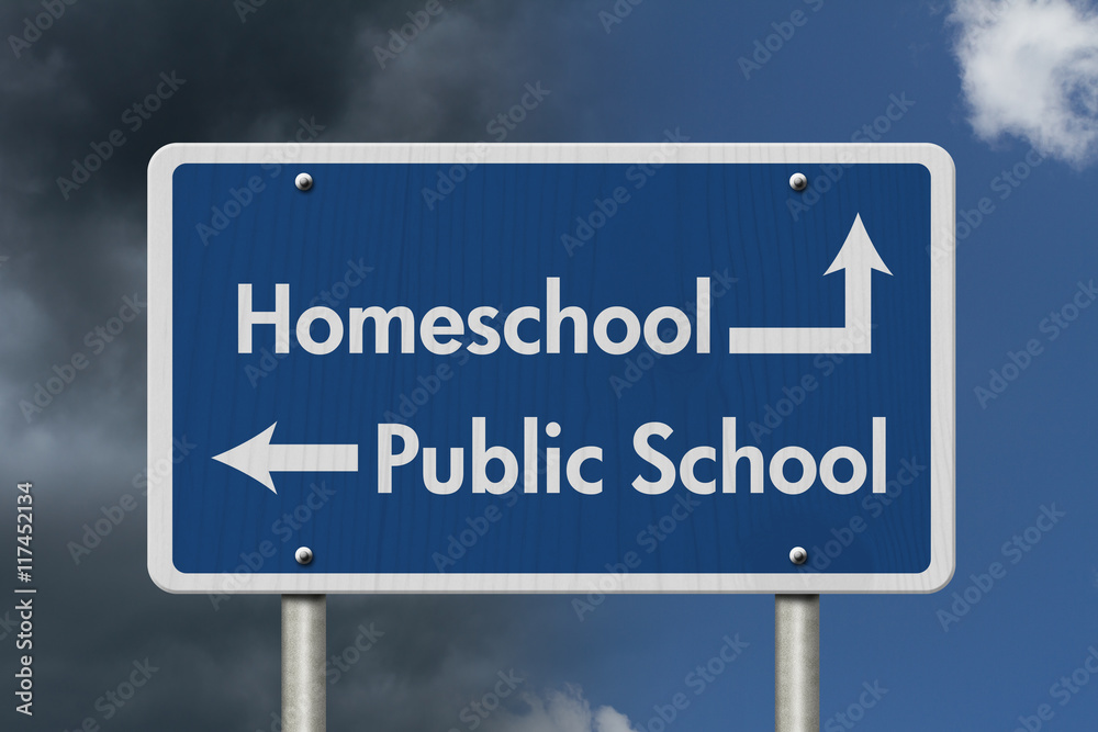 Difference between going to HomeSchool or Public School Difference between going to HomeSchool or Public School