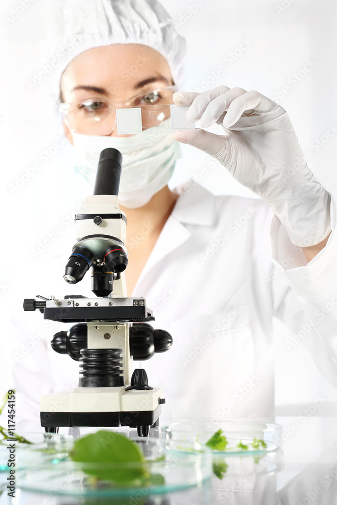 Biotechnolog bada próbki roślin pod mikroskopem Biotechnolog bada próbki roślin pod mikroskopem