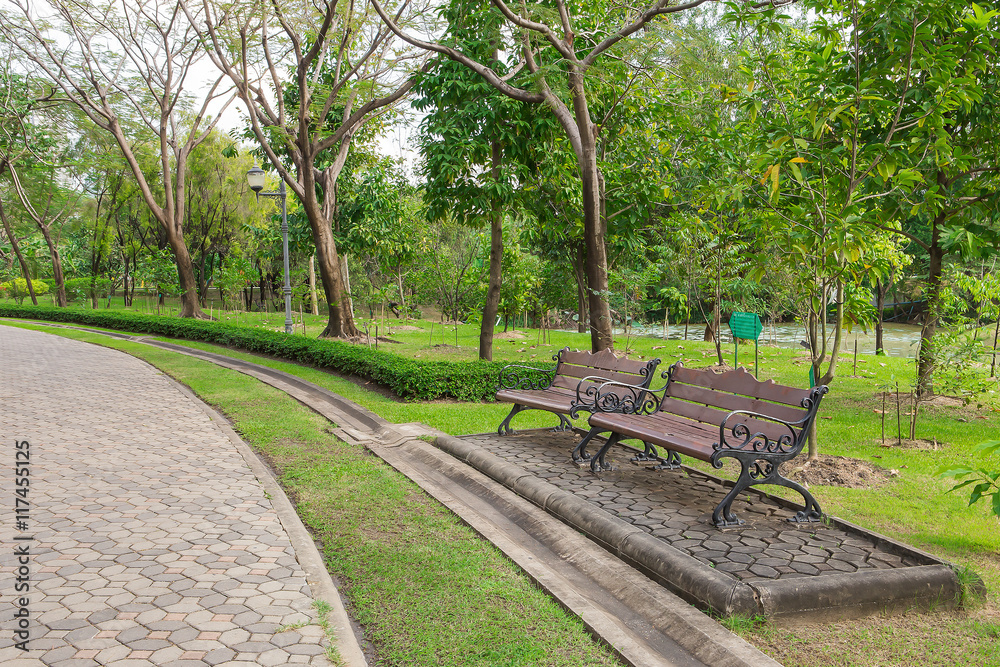 Wooden chairs on grass  in the garden