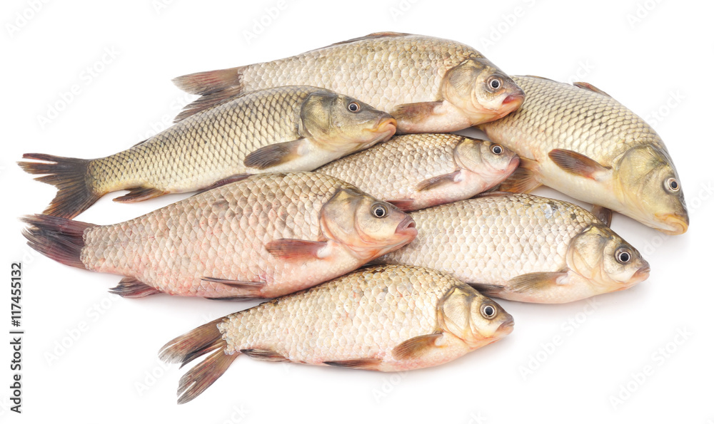 Bunch of raw fish. Bunch of raw fish.
