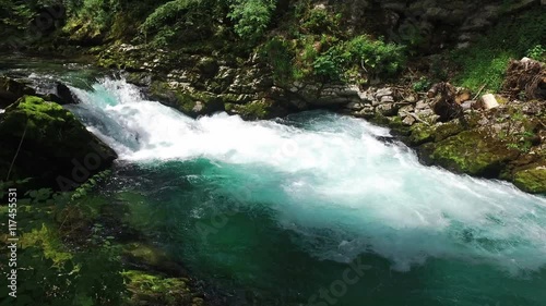 4K. Wild Radovna river flows in Vintgar Gorge. Clean blue water and green forest. Triglav National Park, Julian Alps, Bled valley, Slovenia, Europe.