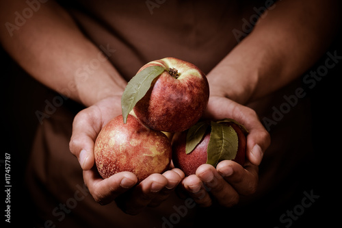 Organic fruit and vegetables. Farmers hands with freshly harvested peach.