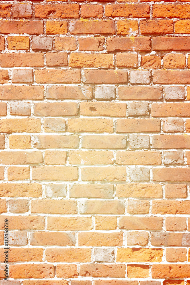 Obraz premium Beautiful old brick wall