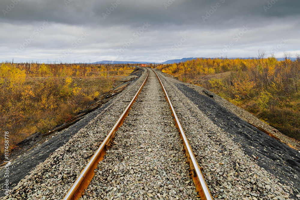 Railway track. Late autumn in the Arctic tundra. Railway track. Late autumn in the Arctic tundra.