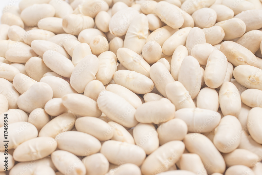 Close-up on a White beans frame in white background. Phaseolus v