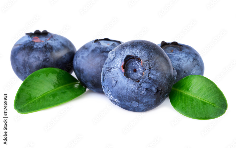Obraz premium Blueberries on white closeup