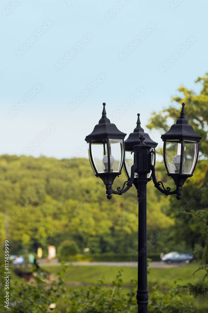 Black iron lamppost in park in vintage style