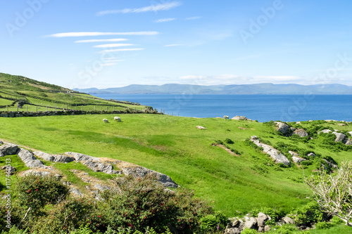 Irland - Ring of Beara