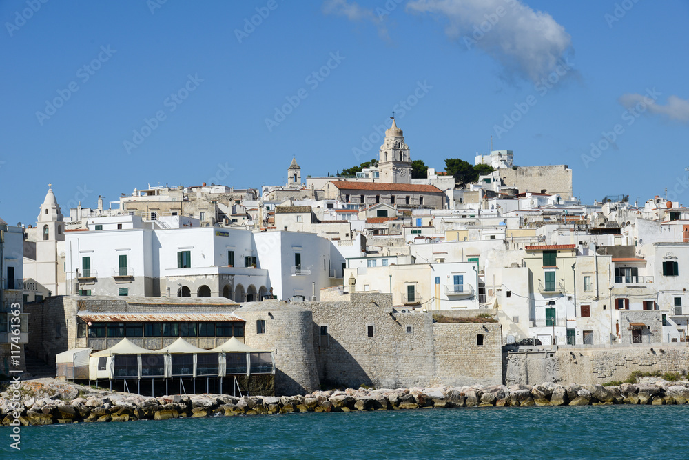 View of Vieste on Puglia