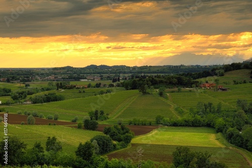 Colli orientali del Friuli Venezia Giulia (Italia)