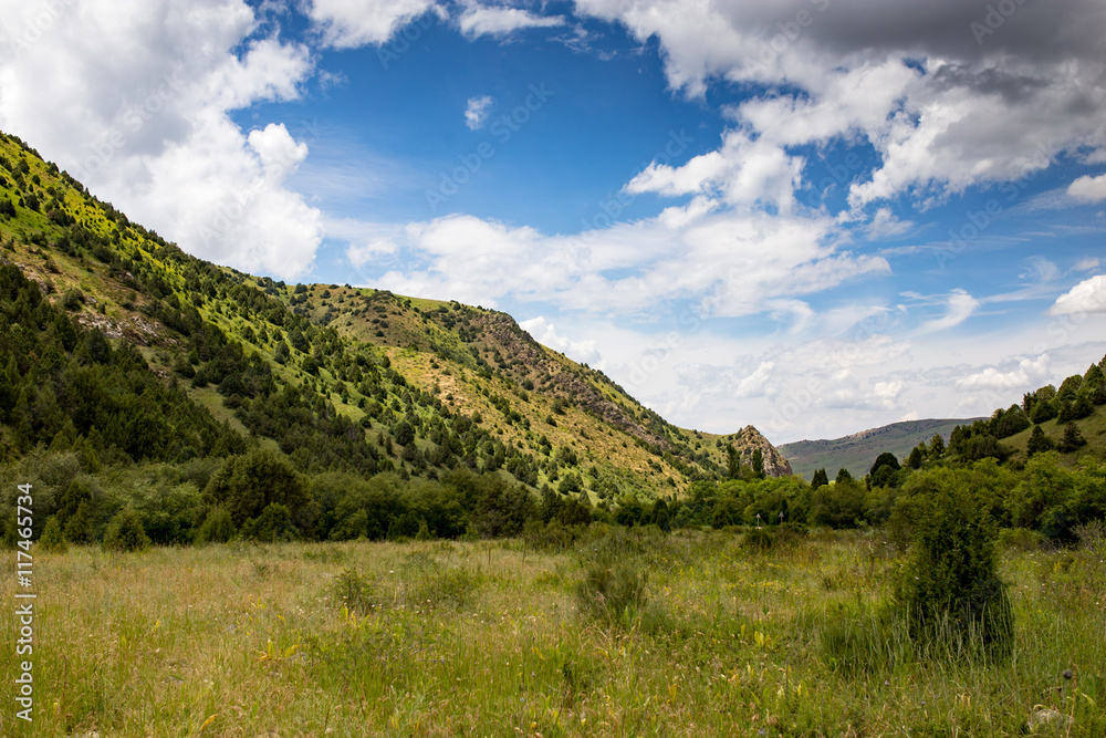 Fototapeta premium Nature in the mountains of Kazakhstan