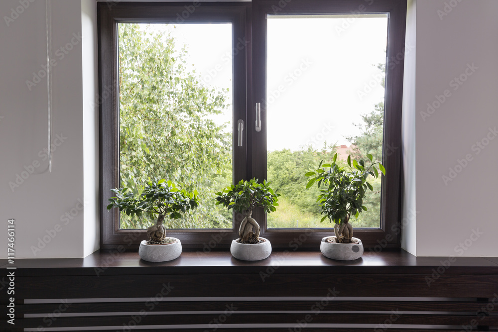 Window decor with plants idea