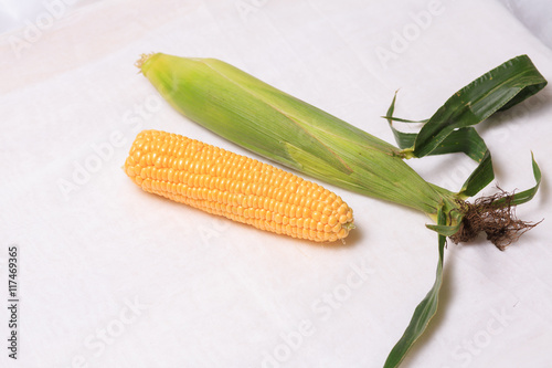 corn,  maize, corncob