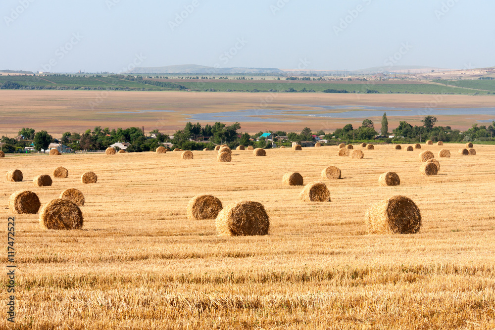 Fototapeta premium Summer Field with Hay Bales as background
