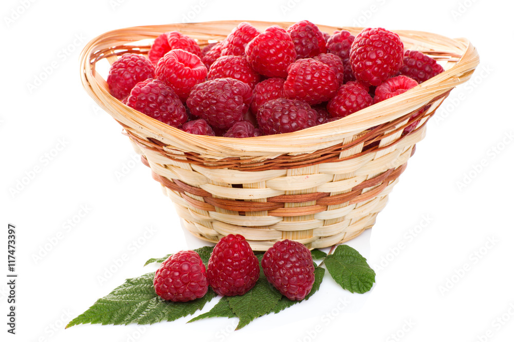 ripe raspberries in basket with mint on white ripe raspberries in basket with mint on white