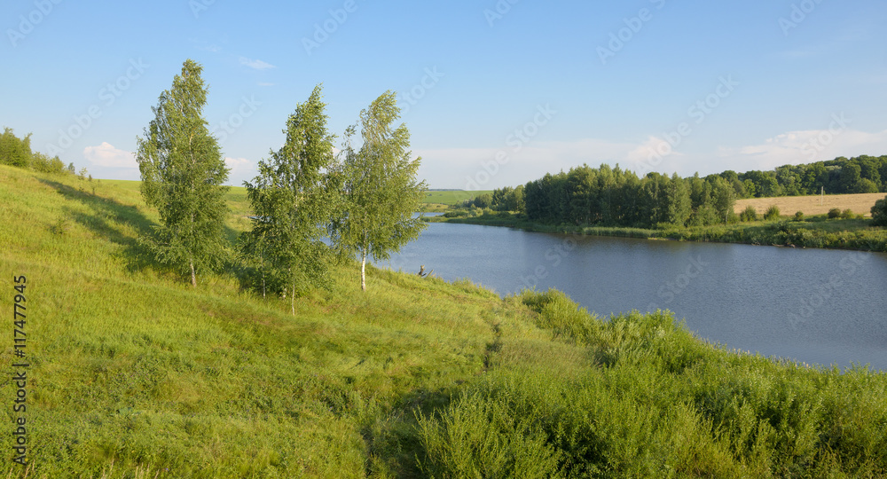 Sunny summer scene with river