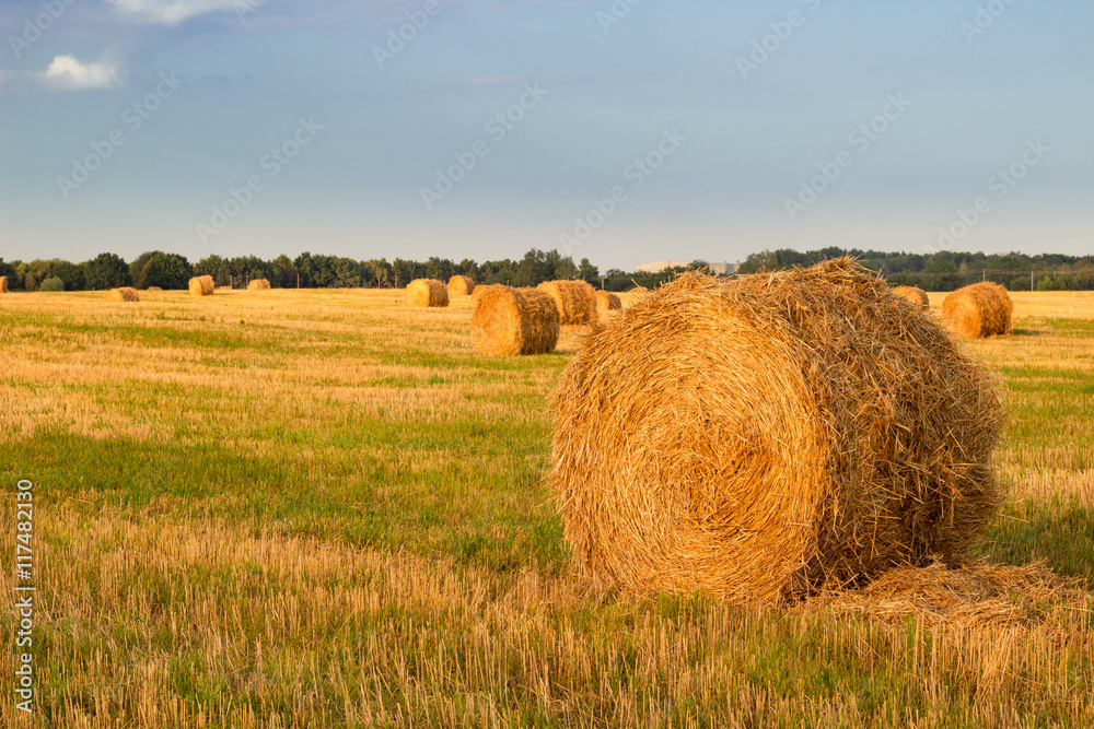 Dry hay stacks on countryside field during harvest time - sunset